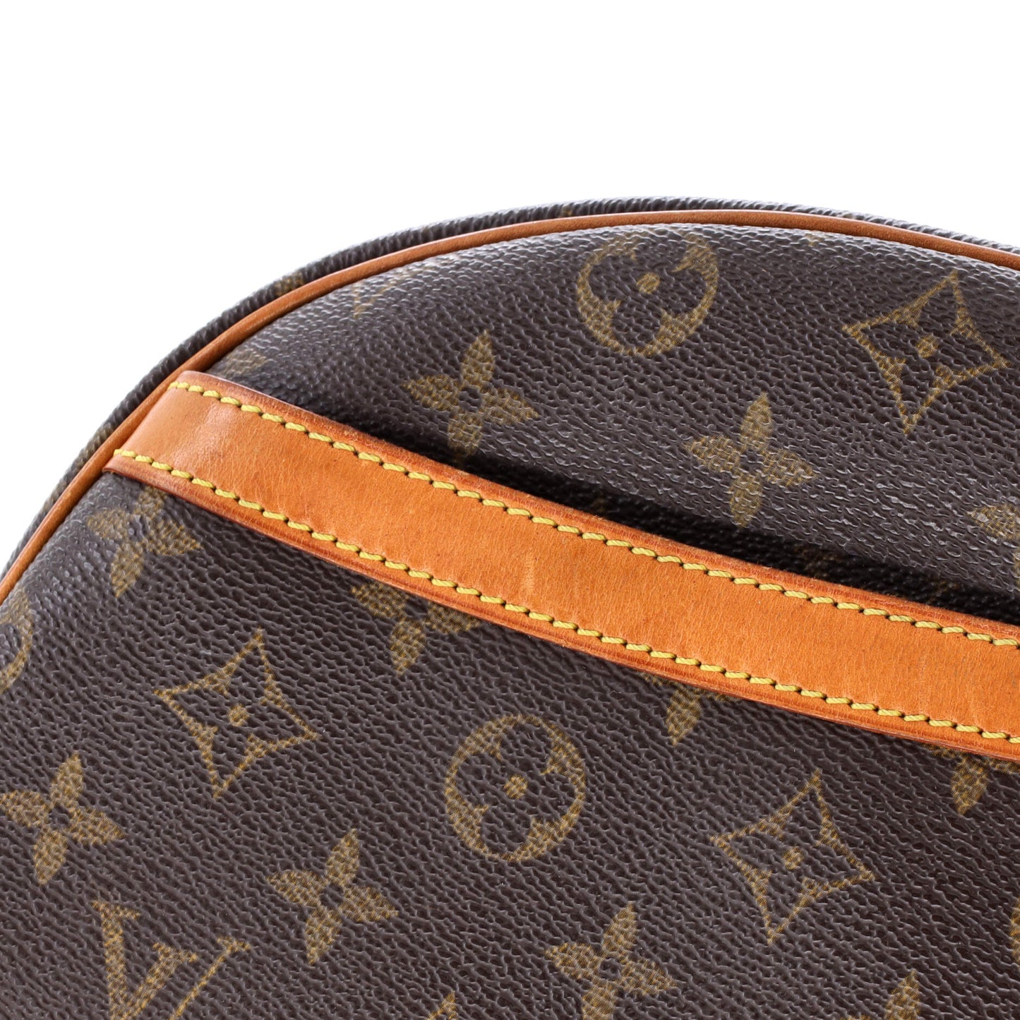 Blois Handbag Monogram Canvas