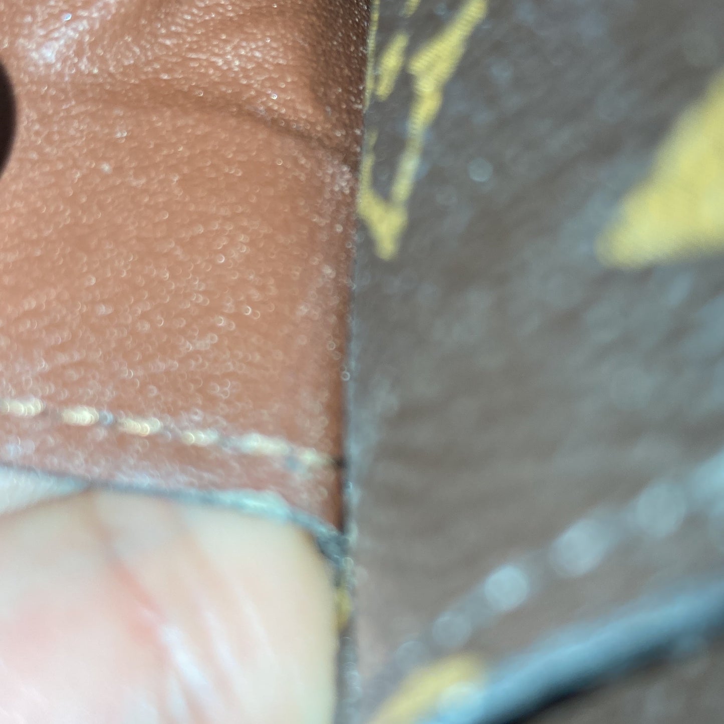 Sarah Wallet NM Monogram Canvas