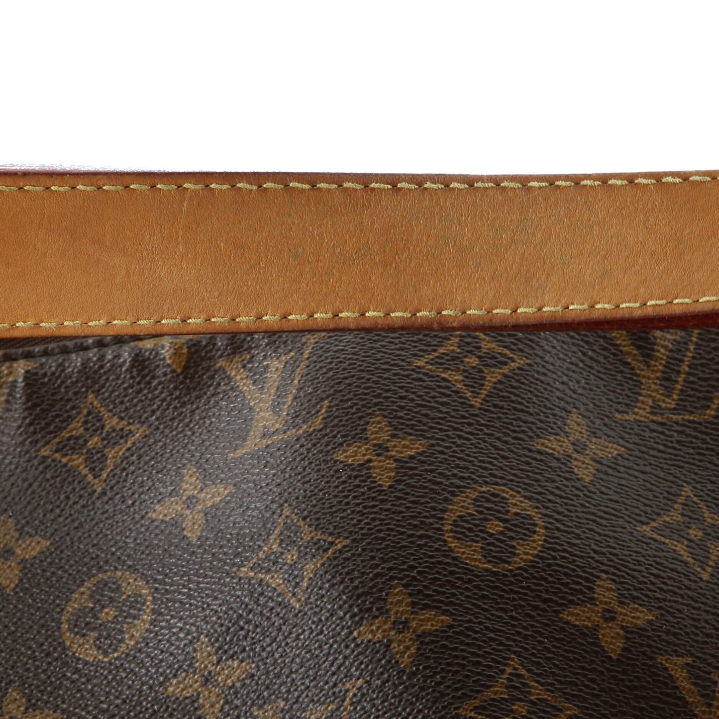 Sully Handbag Monogram Canvas MM