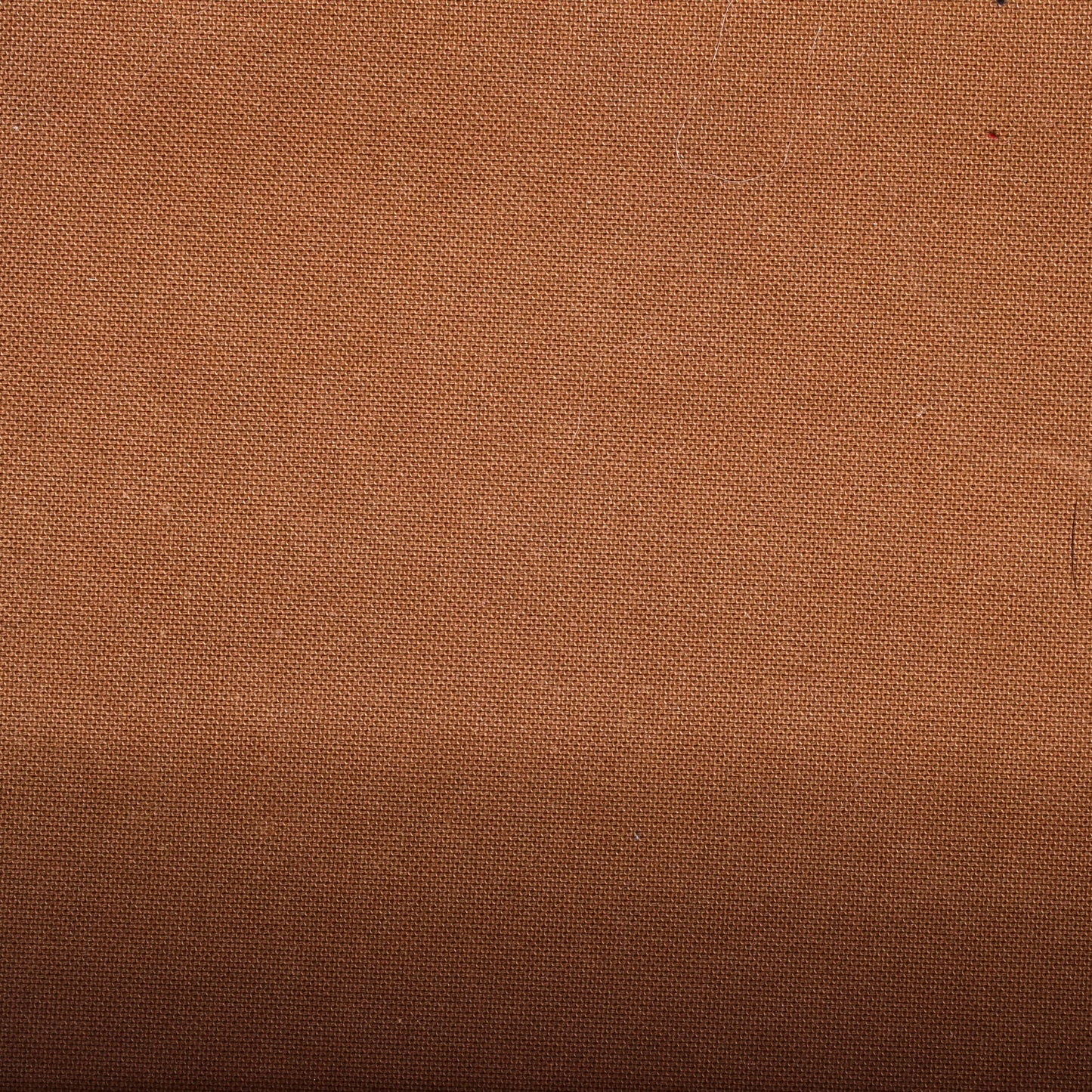 Petit Noe NM Handbag Monogram Canvas