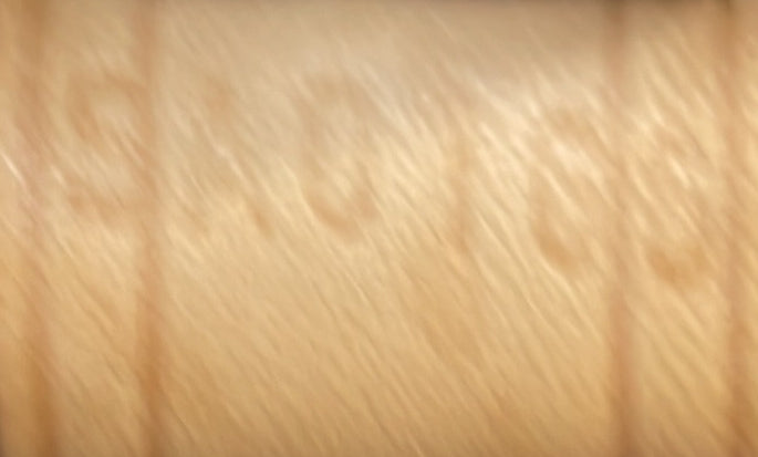 Petit Noe NM Handbag Monogram Canvas