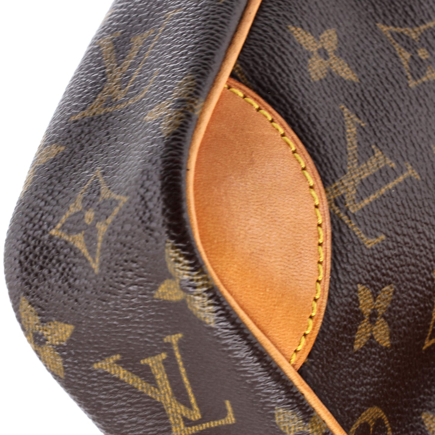 Danube Handbag Monogram Canvas