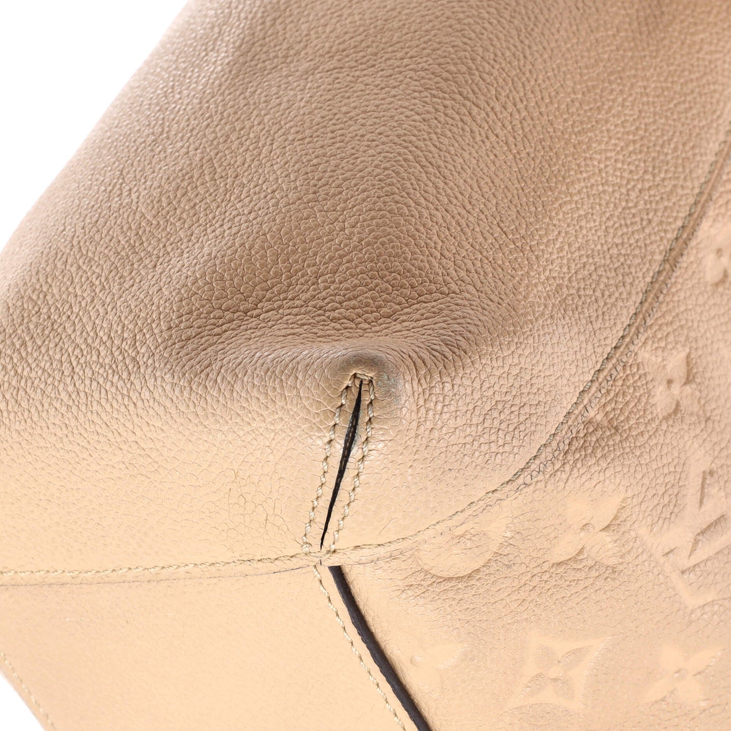 Bagatelle Hobo Monogram Empreinte Leather