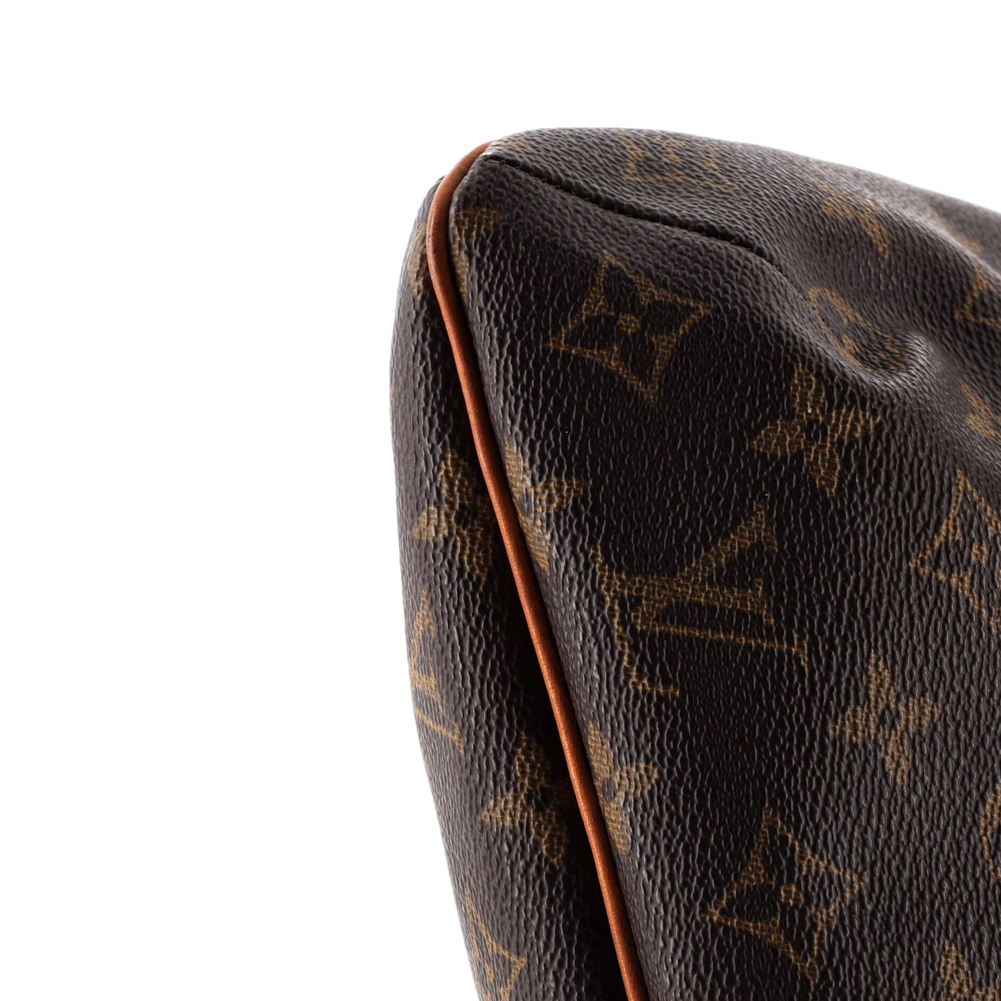 Musette Salsa Handbag Monogram Canvas GM