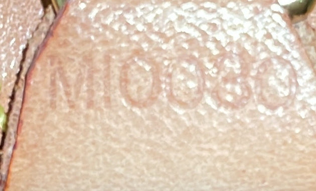 Ellipse Backpack Monogram Canvas