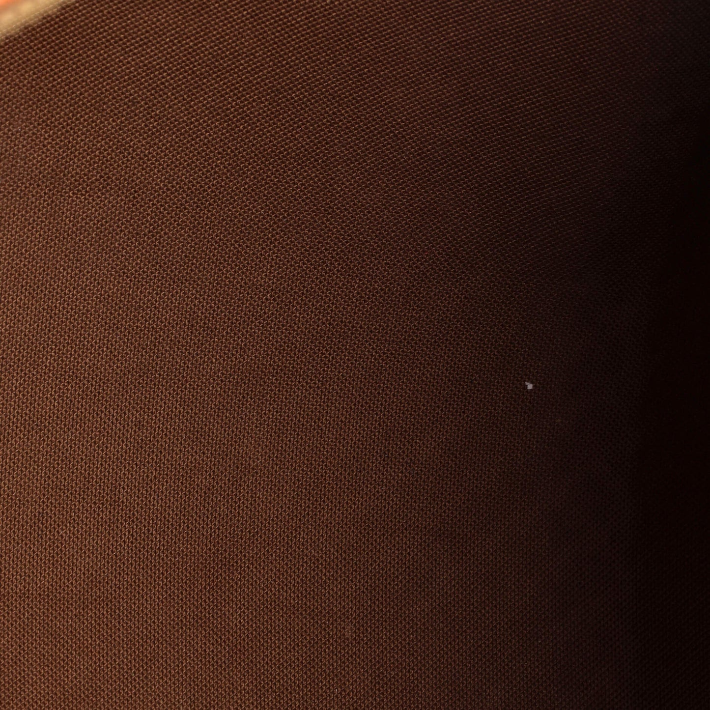 Speedy Handbag Limited Edition Monogram Roses 30