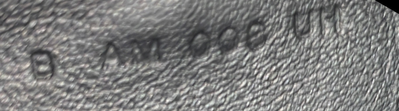 Arcon Bag Toile and Leather