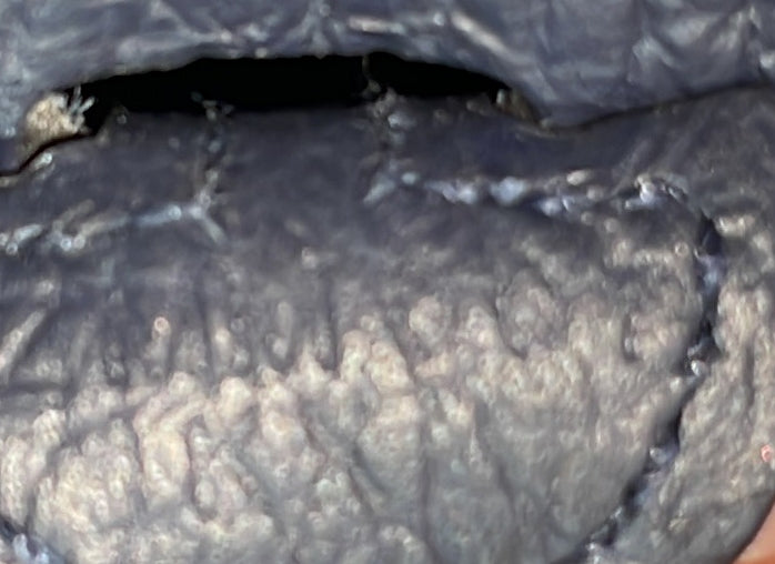 Evelyne Bag Gen III Clemence TPM