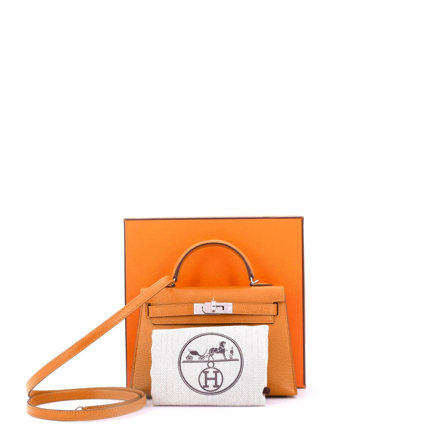 Kelly Mini II Bag Verso Chevre Mysore with Palladium Hardware 20