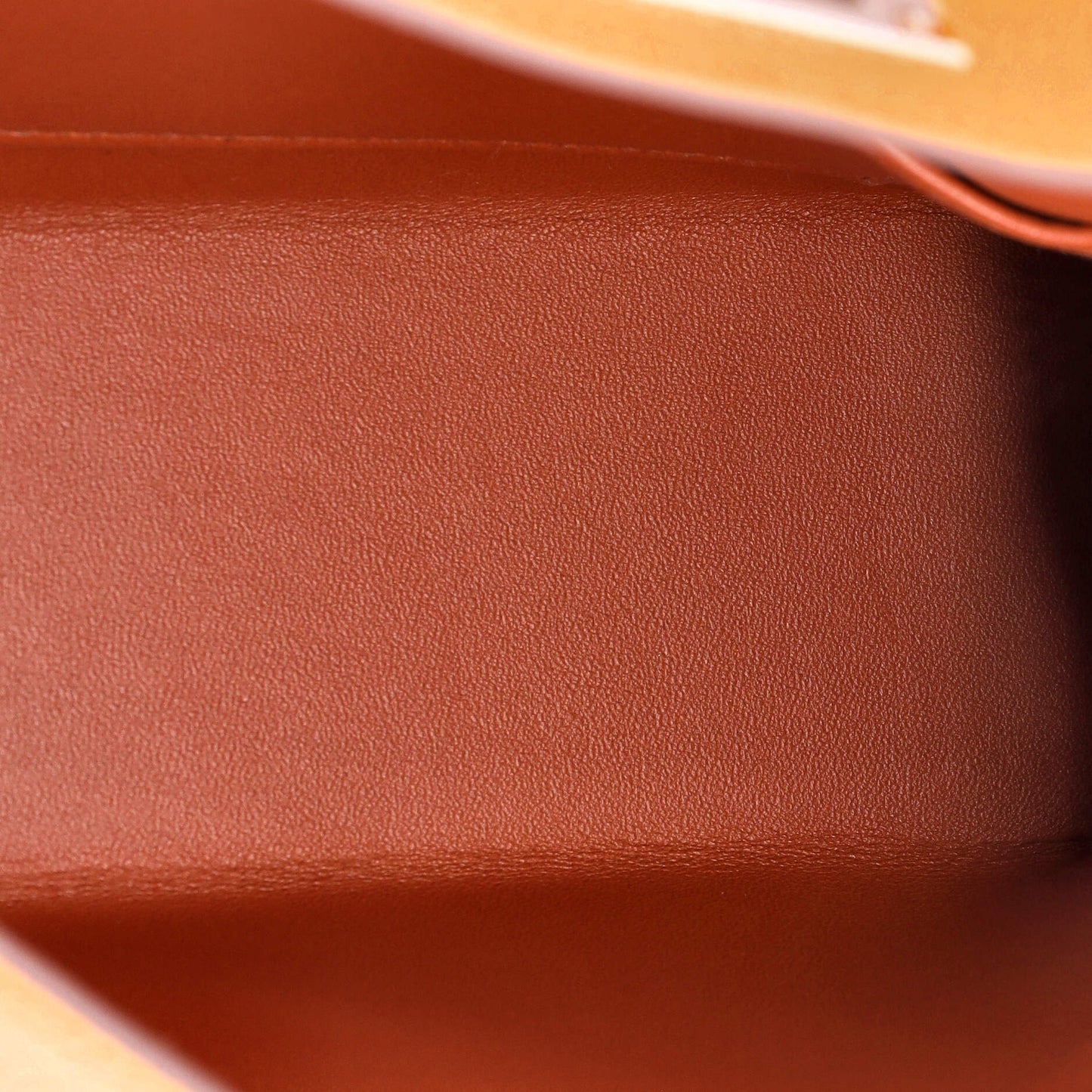 Kelly Mini II Bag Verso Chevre Mysore with Palladium Hardware 20