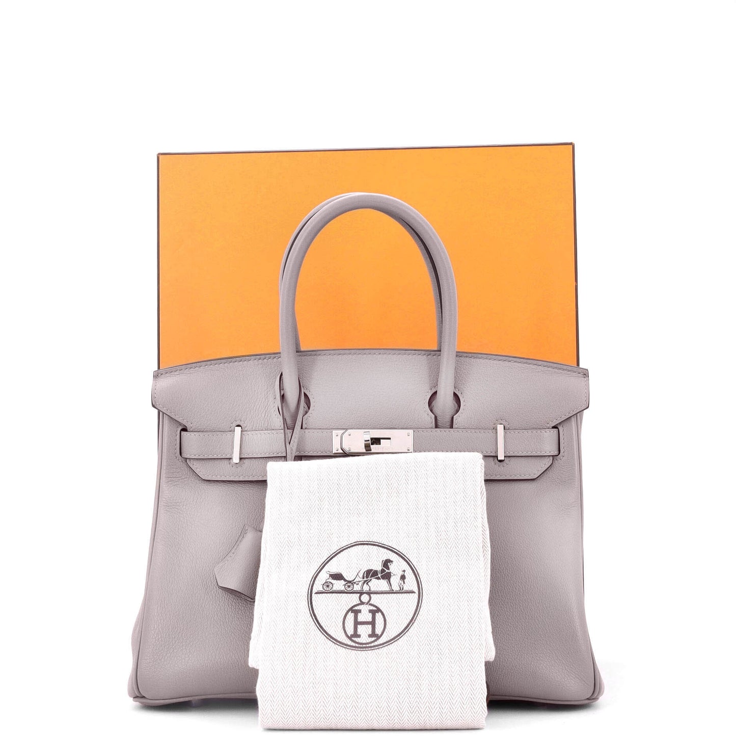 Birkin Handbag Grey Novillo with Palladium Hardware 30