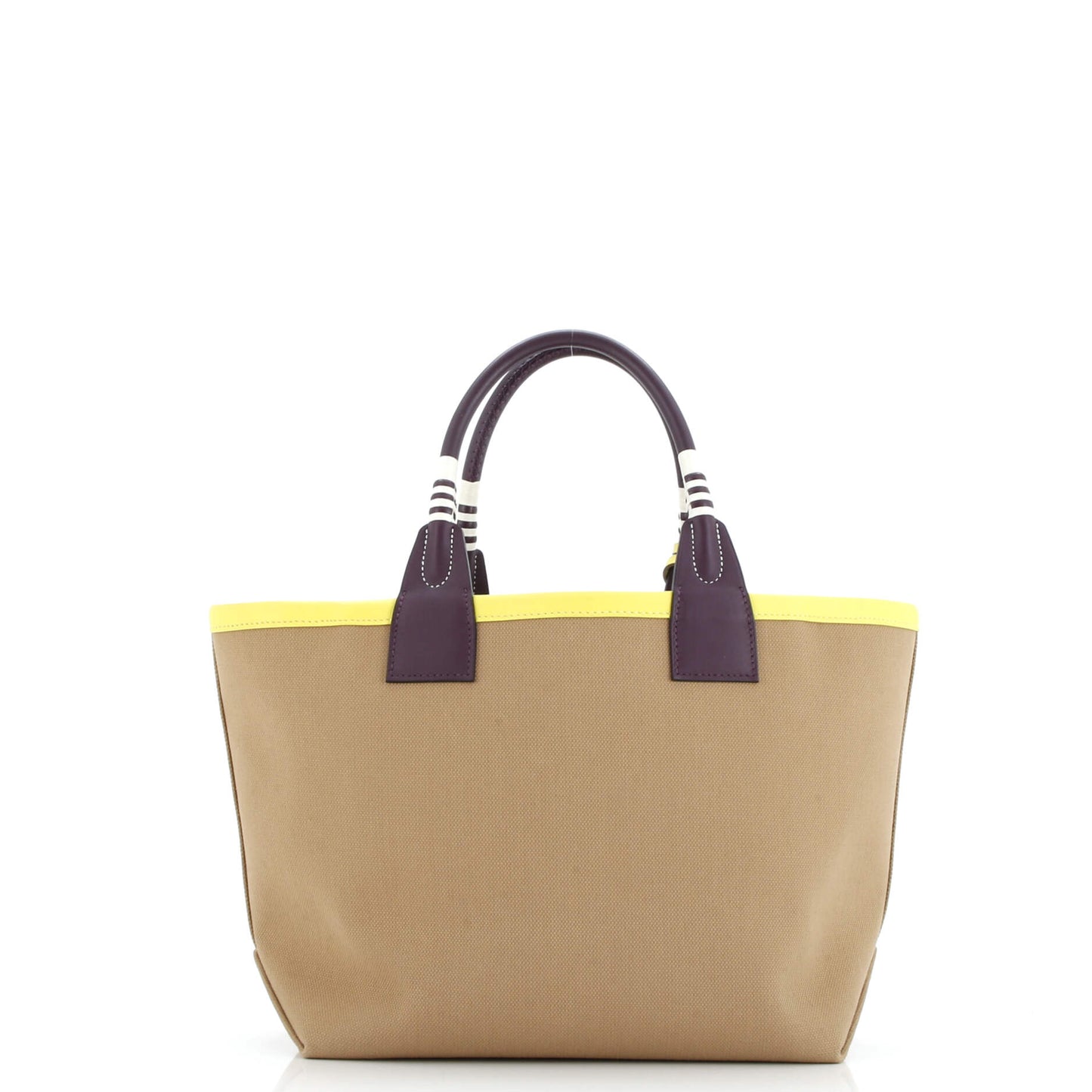Sac Steeple Tote Toile with Leather 25