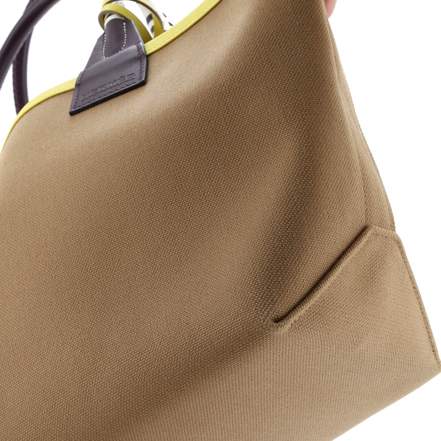 Sac Steeple Tote Toile with Leather 25