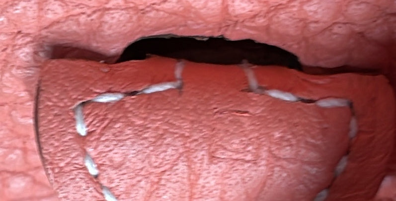 Evelyne Bag Gen III Clemence TPM