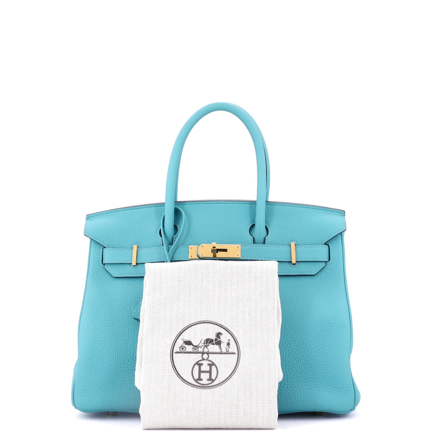 Birkin Handbag Bleu Du Nord Togo with Gold Hardware 30