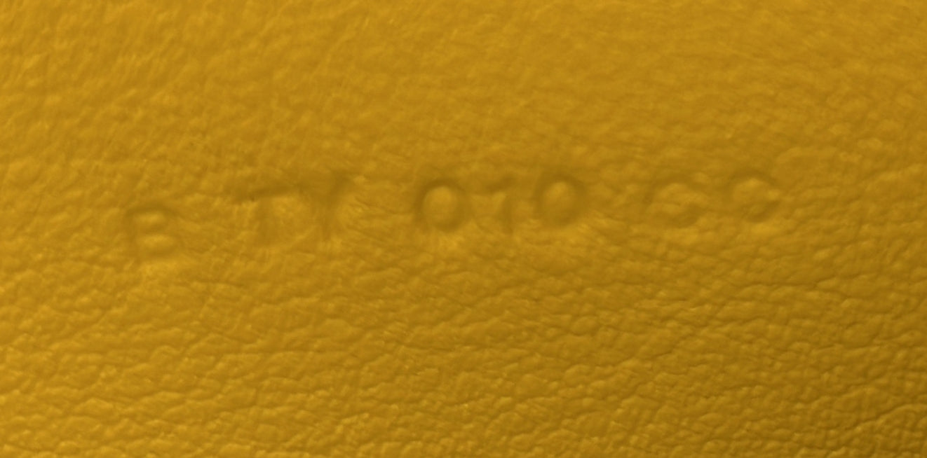 Chien Card Holder with Strap Swift and Chevre Mysore