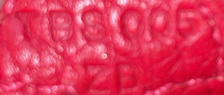 Evelyne Bag Gen III Clemence TPM