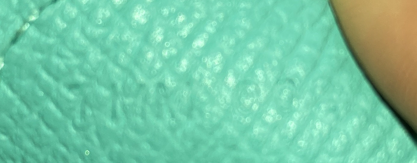 Evelyne Bag Gen III Epsom PM