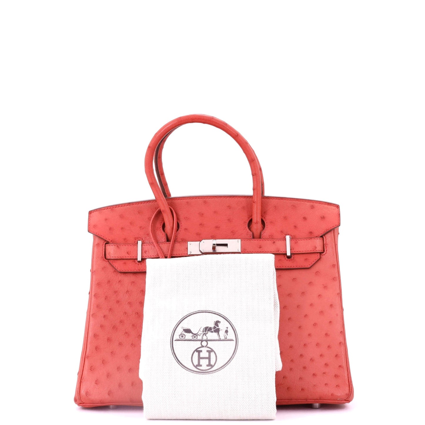 Birkin Handbag Bougainvillea Ostrich with Palladium Hardware 30