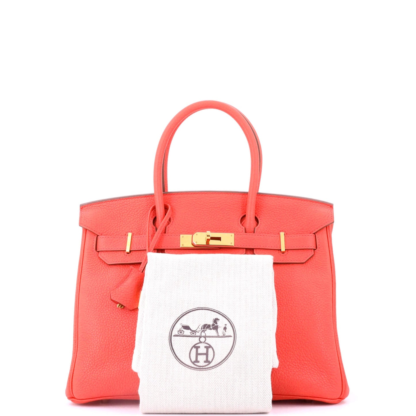 Birkin Handbag Rose Jaipur Clemence with Gold Hardware 30