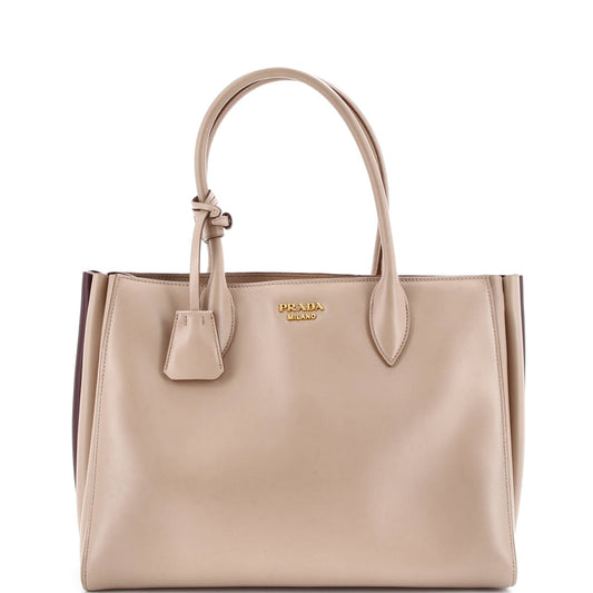 Soft Bibliotheque Tote City Calfskin Medium