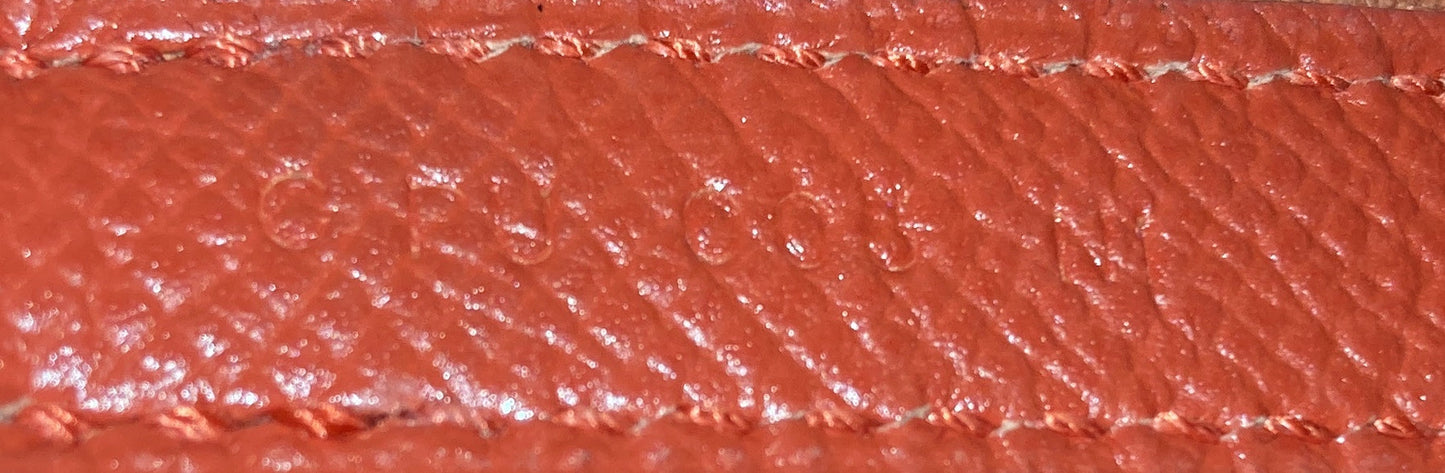 Picotin Lock Bag Tressage Epsom PM