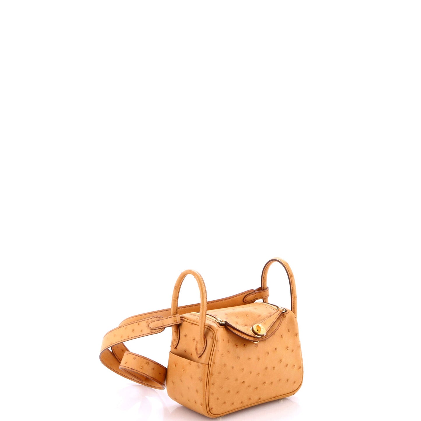 Lindy Bag Ostrich Mini