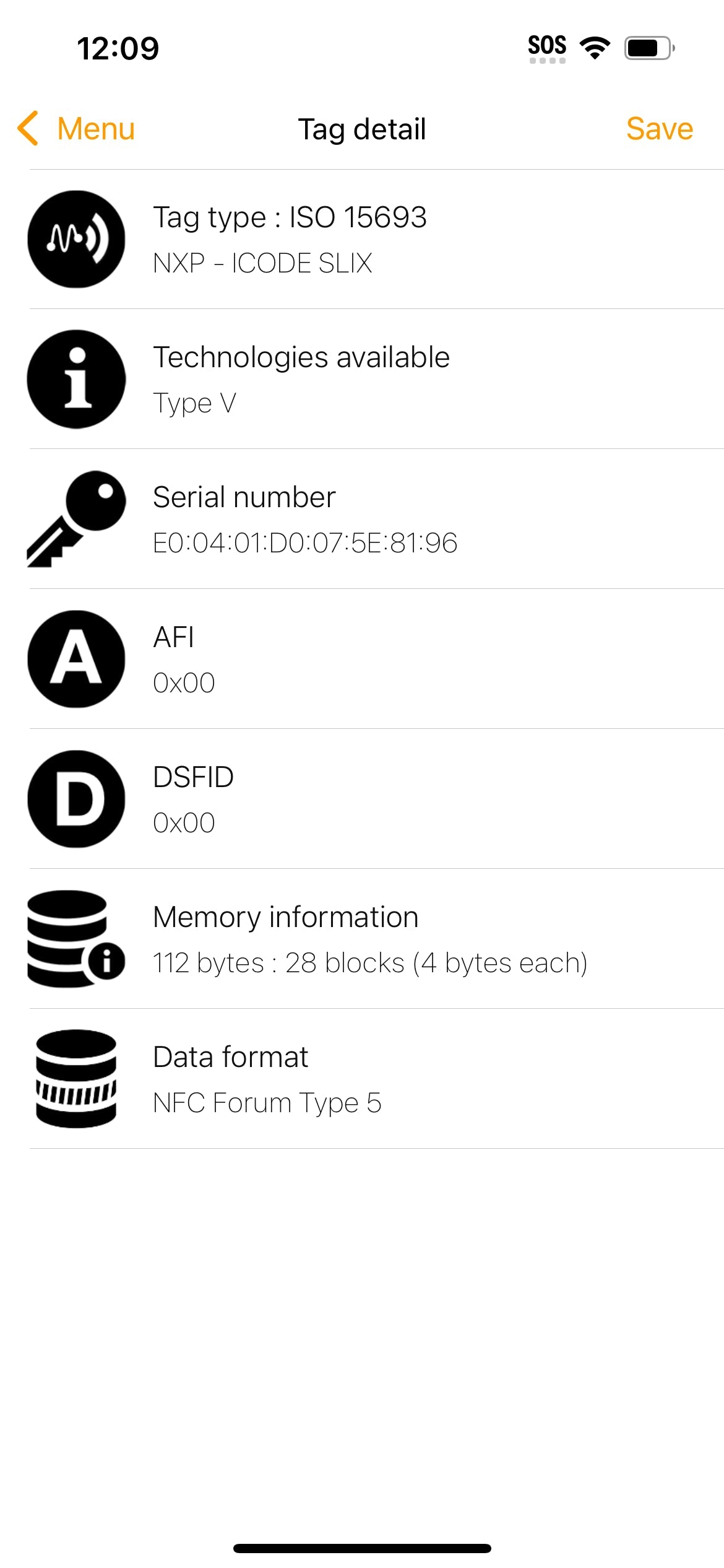 Logo Tote Raffia Large