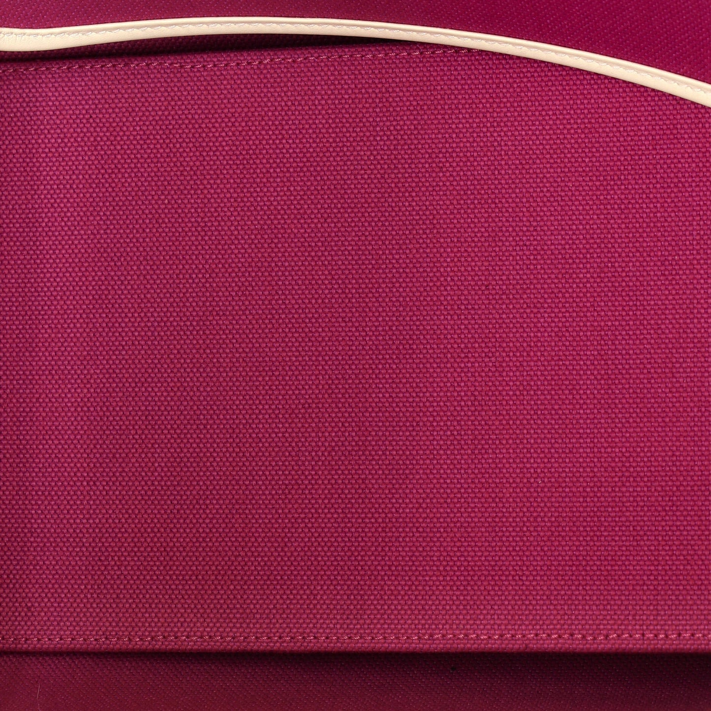 Sac Steeple Tote Toile with Leather 25