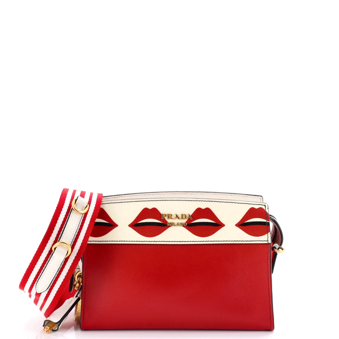 Esplanade Crossbody Bag Printed Saffiano and City Calf Small