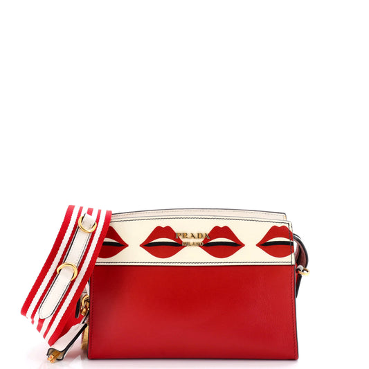 Esplanade Crossbody Bag Printed Saffiano and City Calf Small