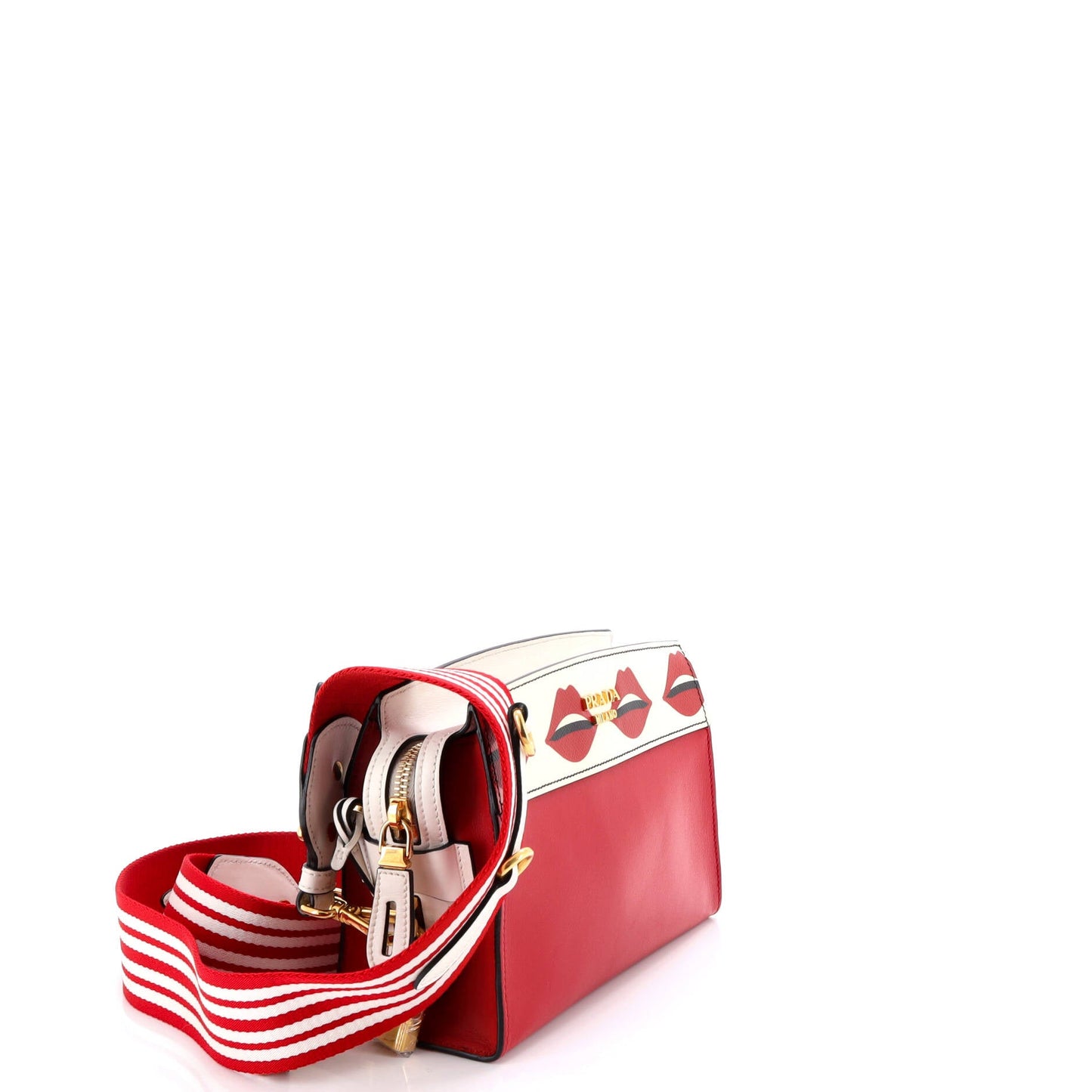 Esplanade Crossbody Bag Printed Saffiano and City Calf Small