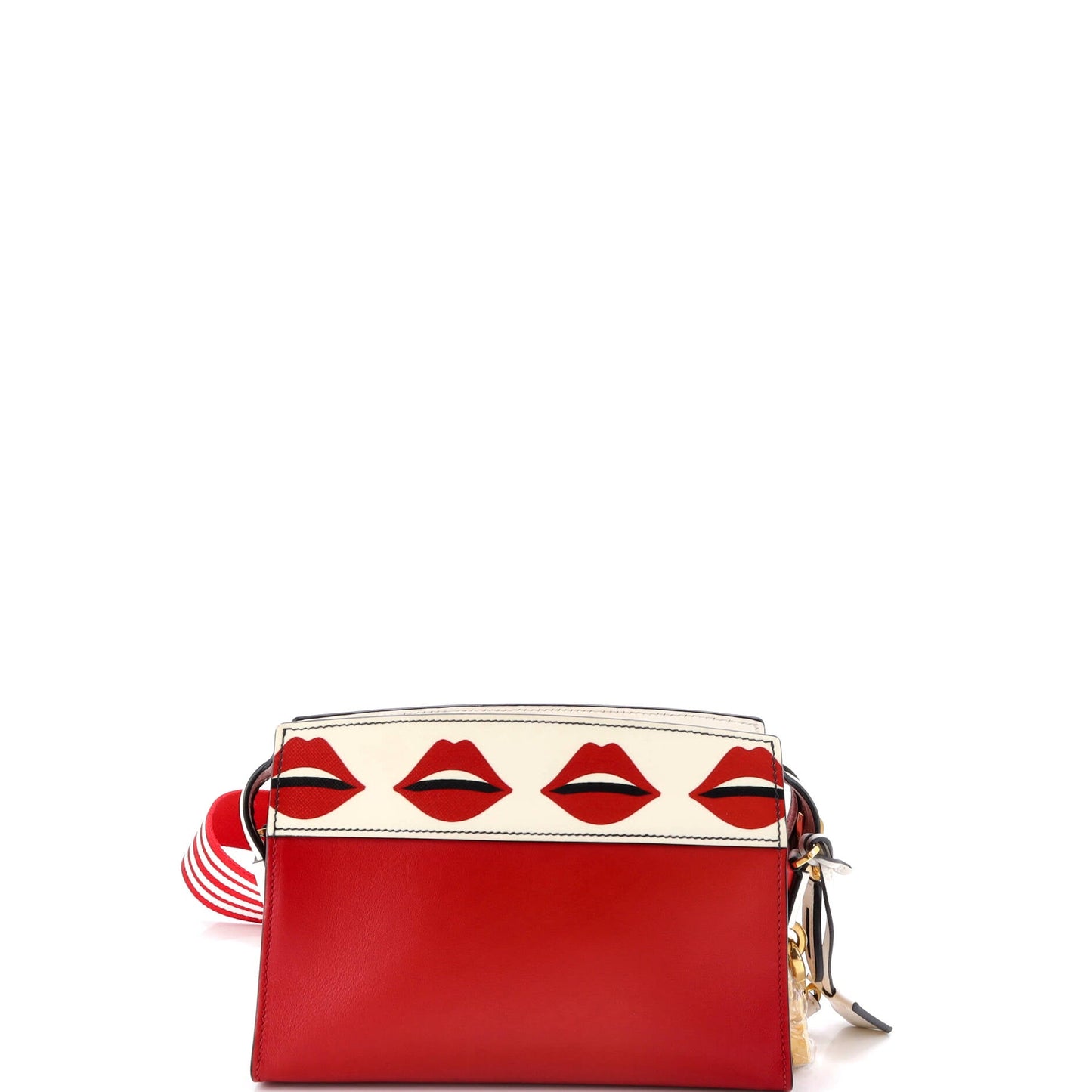 Esplanade Crossbody Bag Printed Saffiano and City Calf Small