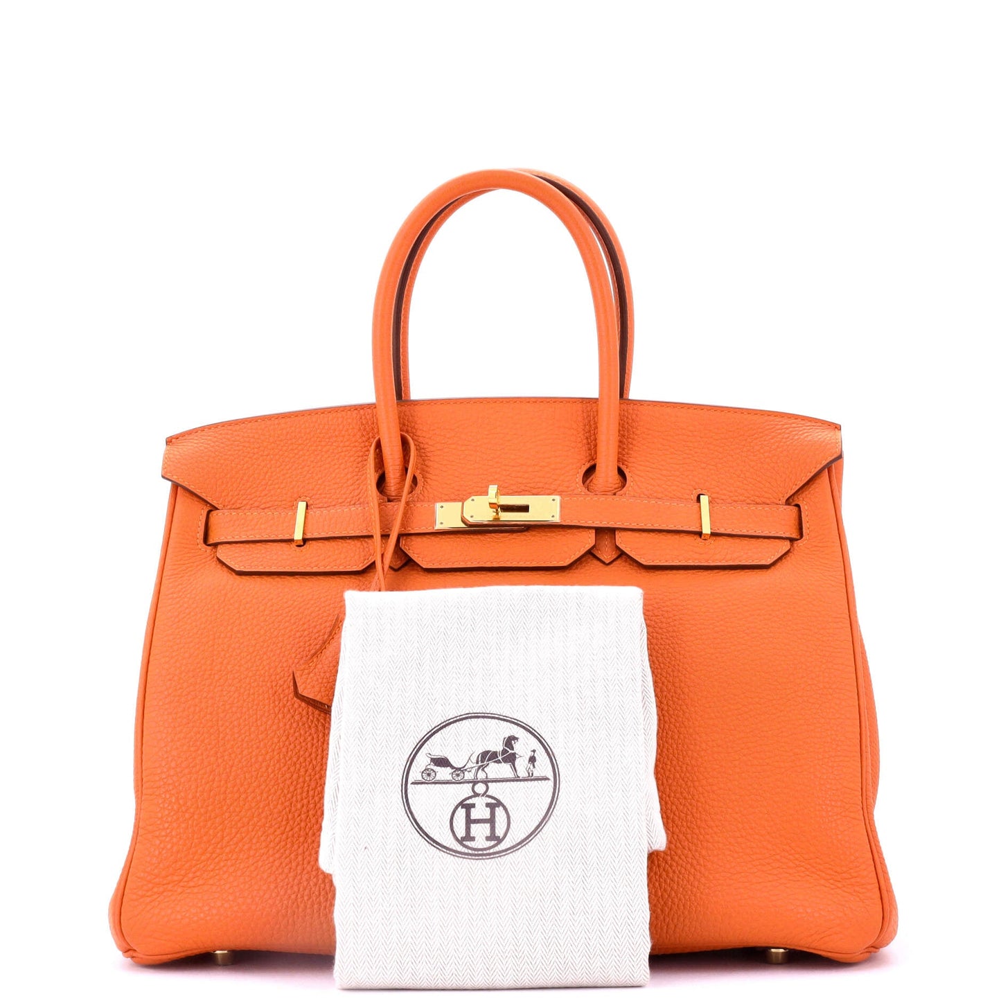 Birkin Handbag Feu Togo with Gold Hardware 35