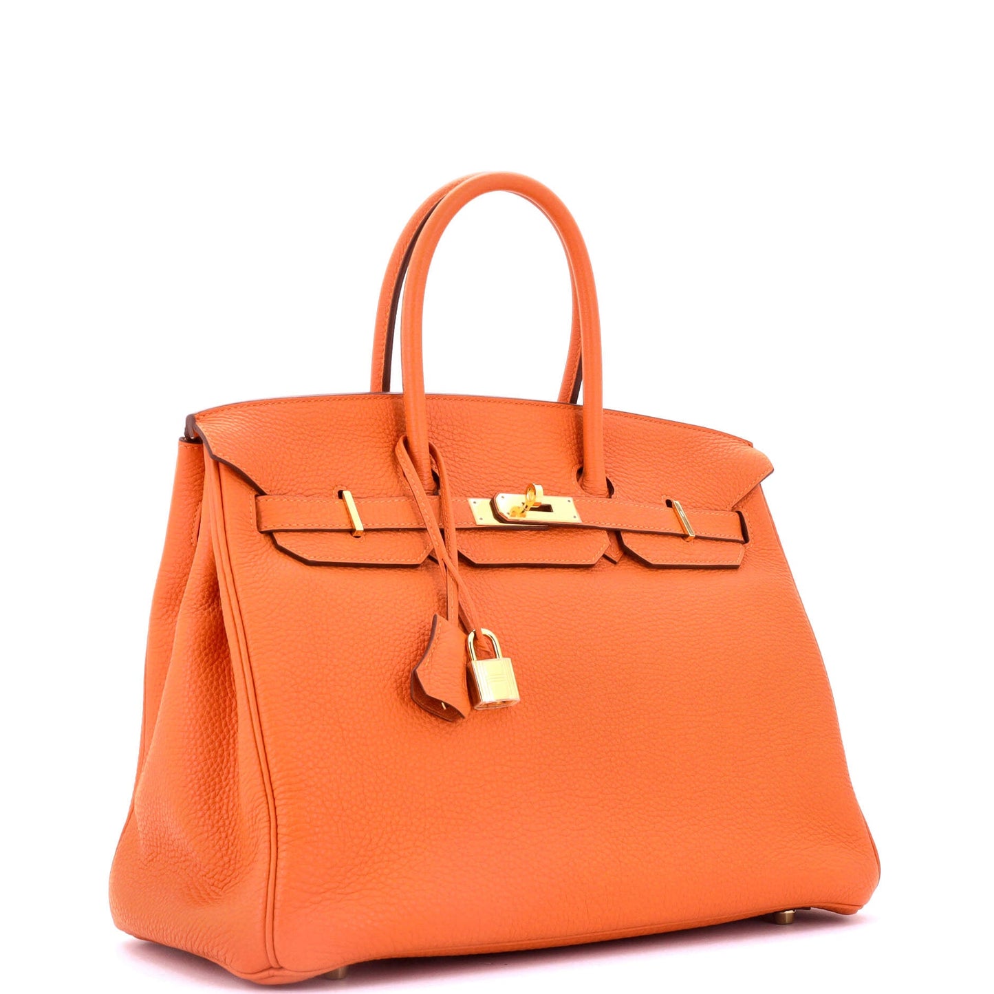 Birkin Handbag Feu Togo with Gold Hardware 35