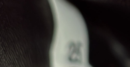 Cahier Crossbody Bag Embellished Leather Small