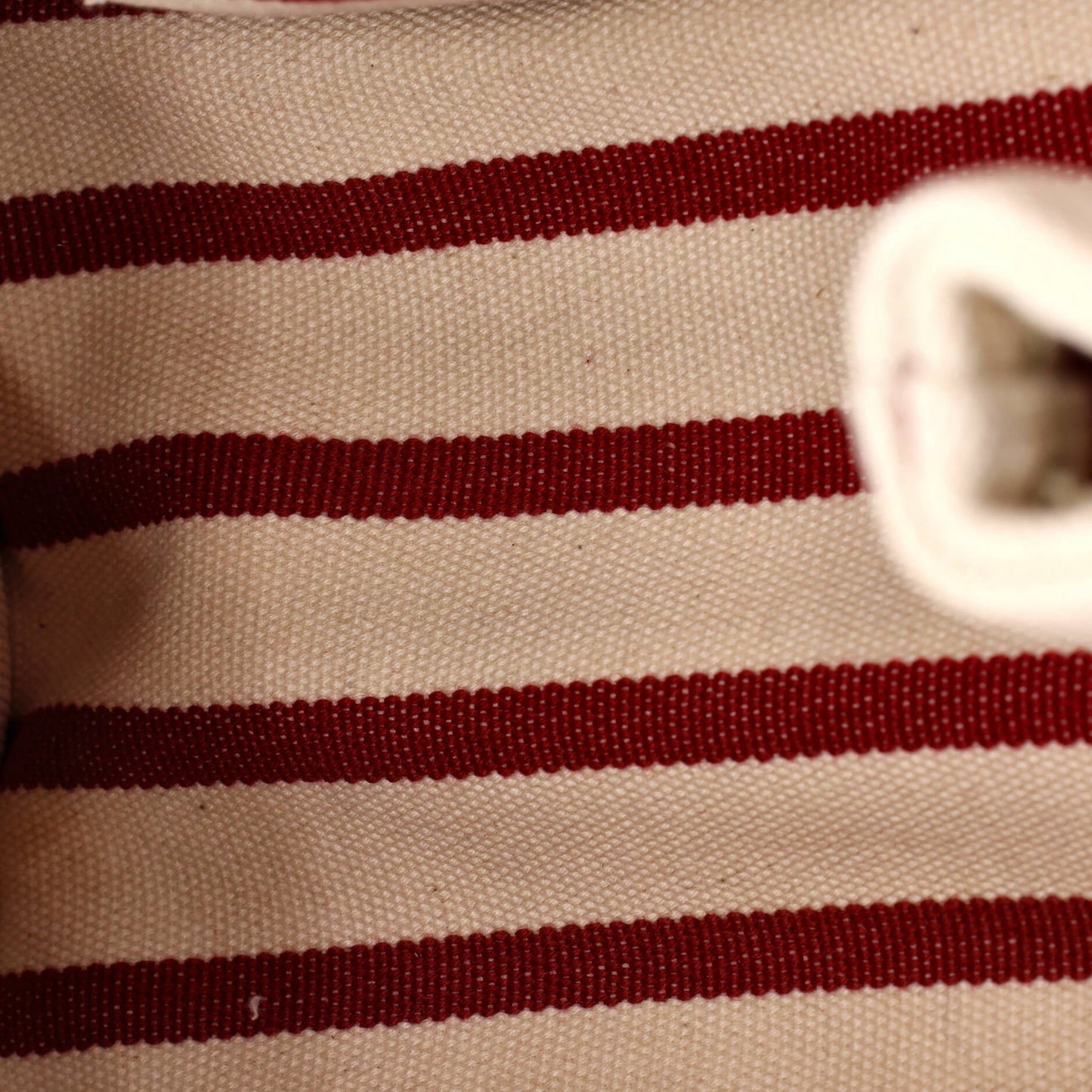 Logo Jardiniere Tote Striped Canvas Mini