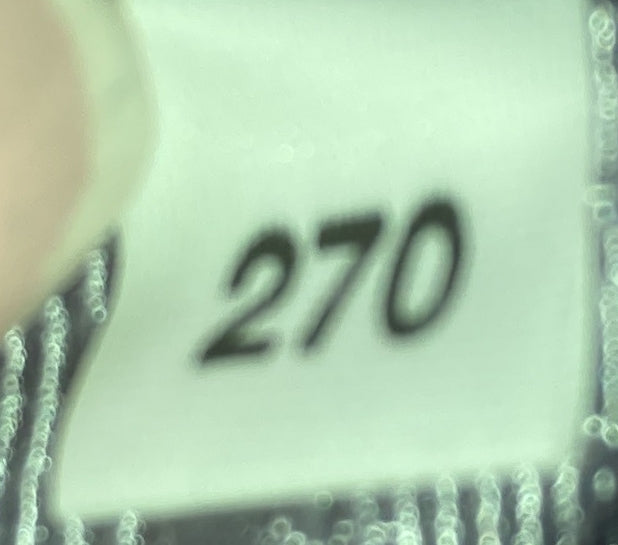 Re-Edition 2000 Hobo Sequins Mini