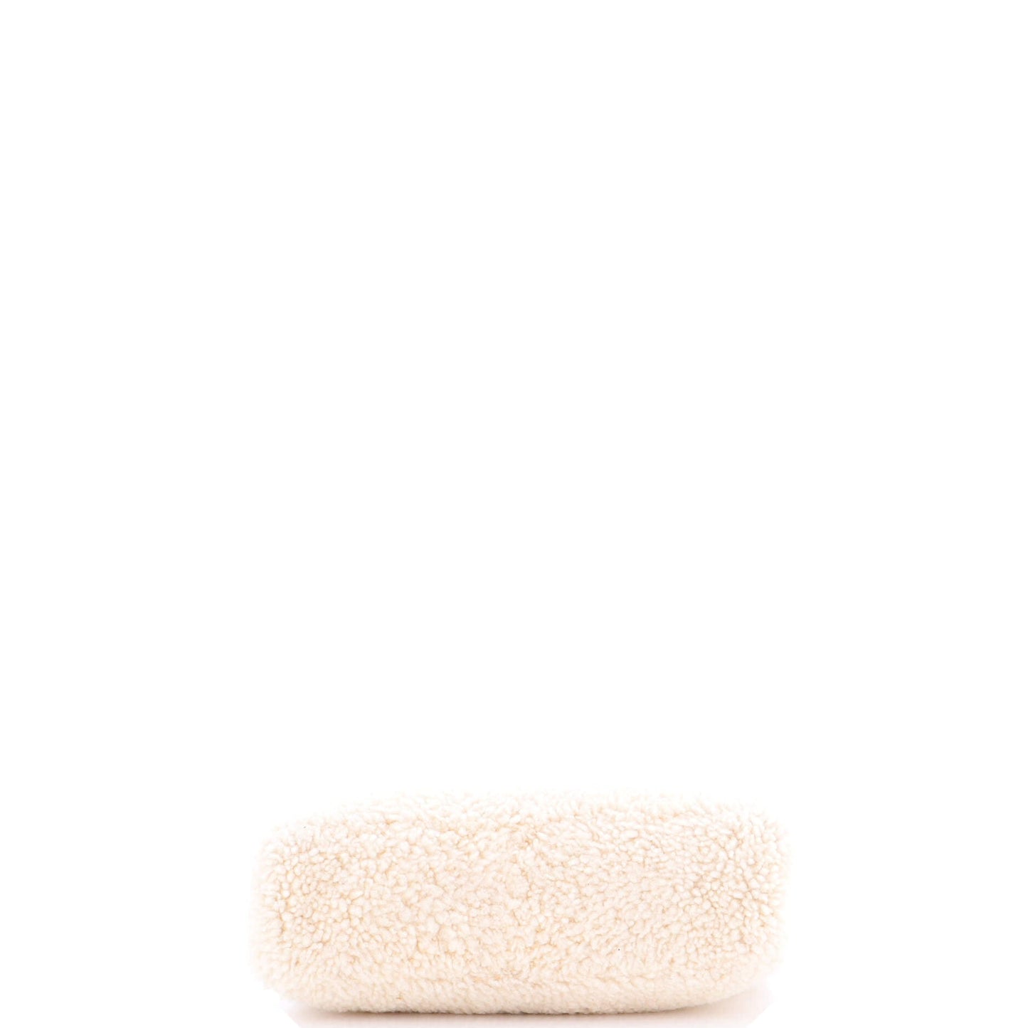 Re-Edition 2000 Hobo Shearling Mini