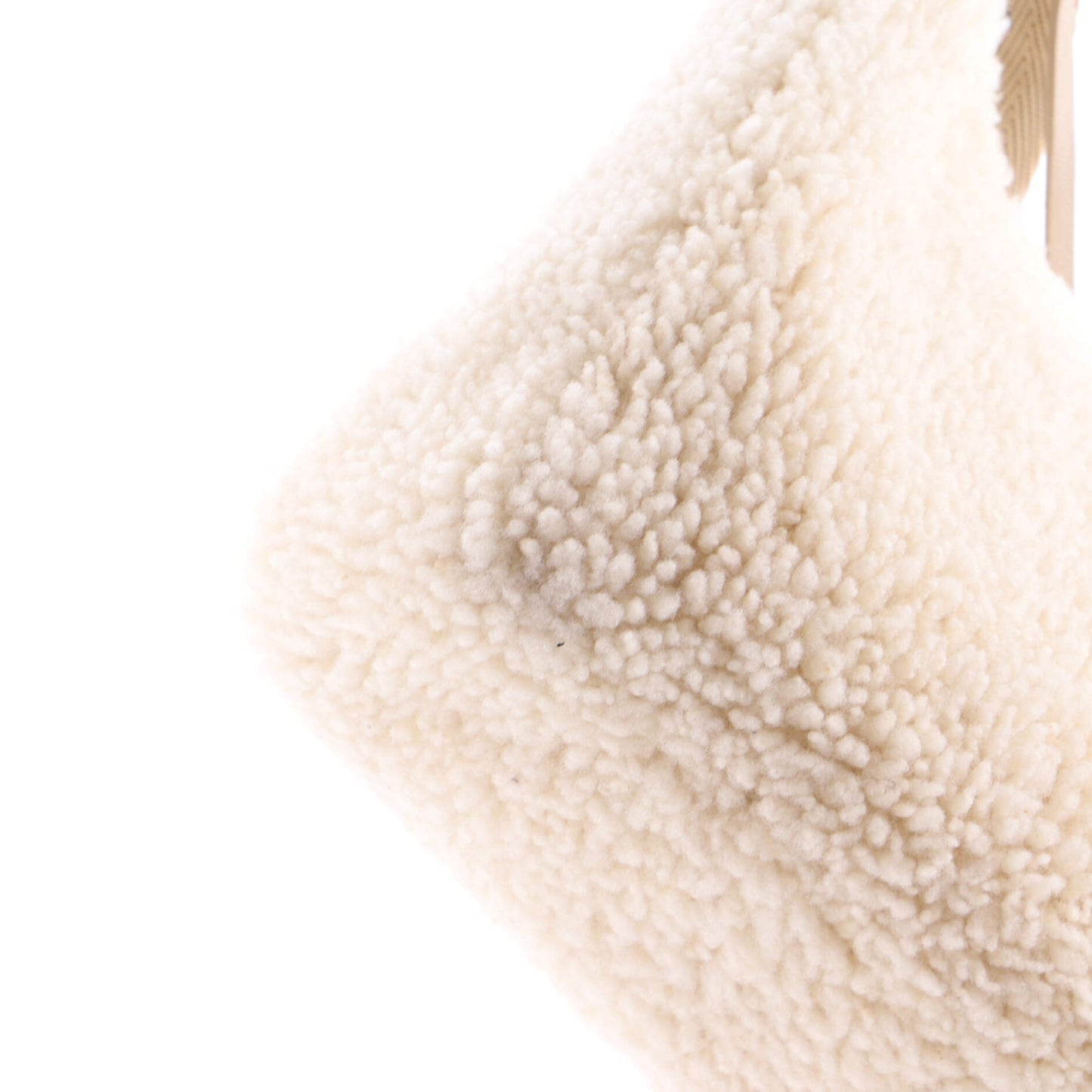 Re-Edition 2000 Hobo Shearling Mini