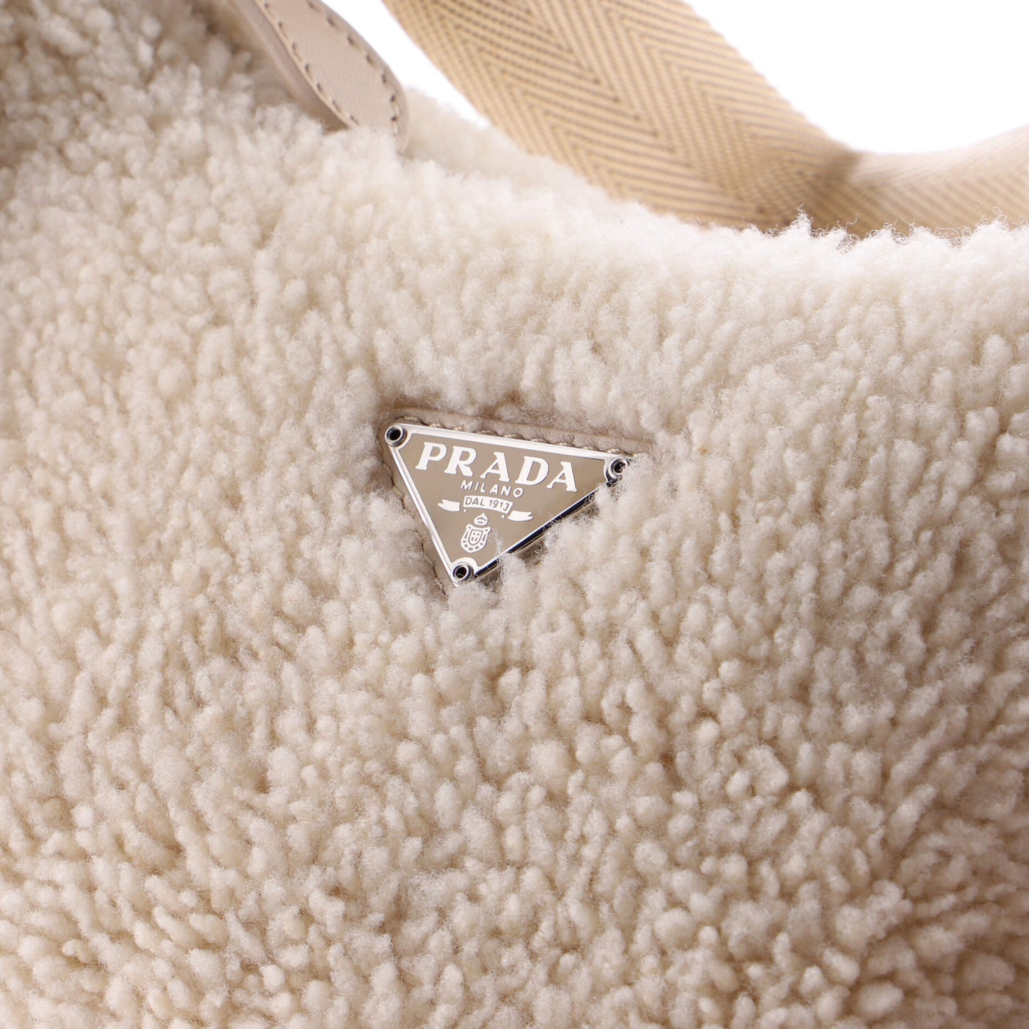 Re-Edition 2000 Hobo Shearling Mini