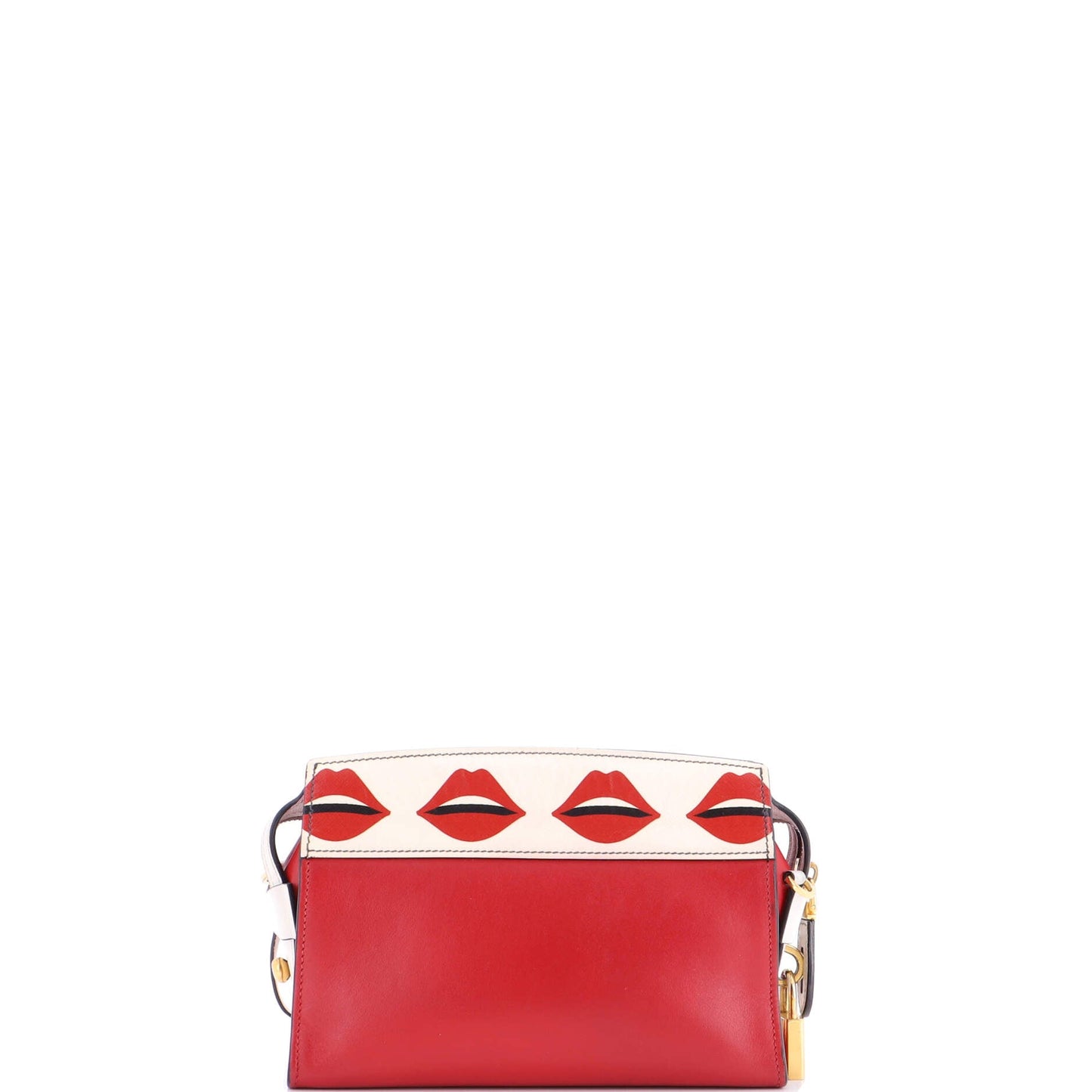 Esplanade Crossbody Bag Printed Saffiano and City Calf Small