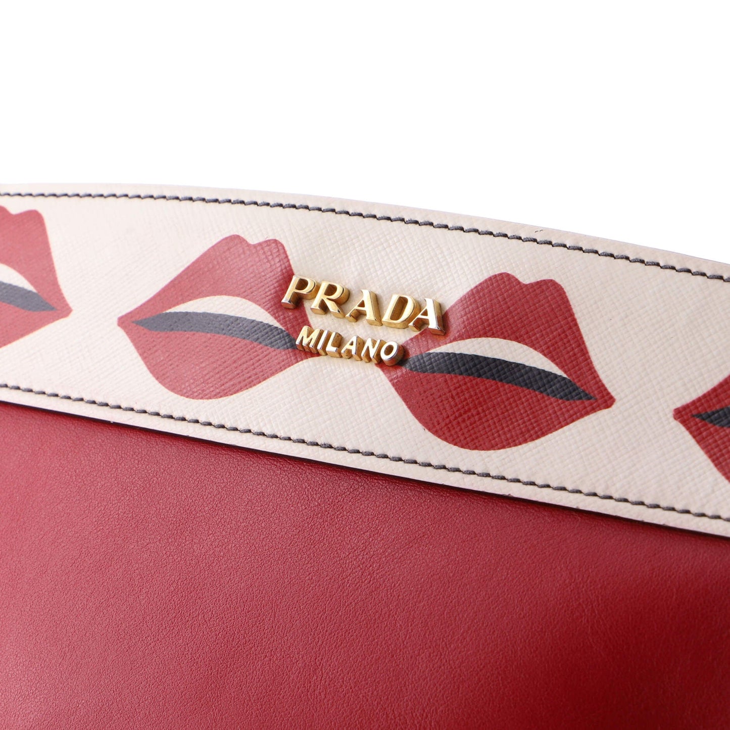 Esplanade Crossbody Bag Printed Saffiano and City Calf Small