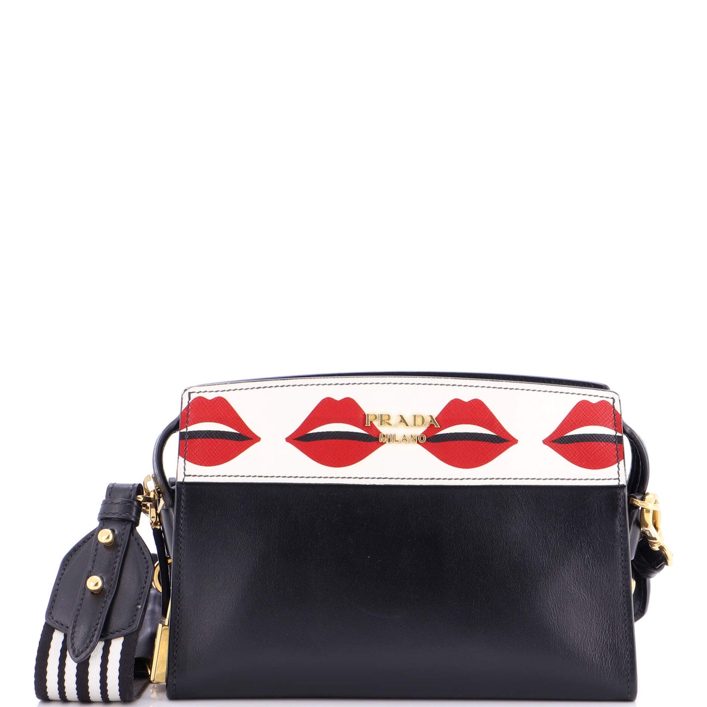 Esplanade Crossbody Bag Printed Saffiano and City Calf Small