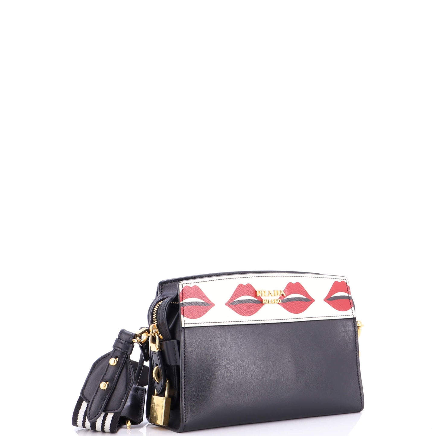 Esplanade Crossbody Bag Printed Saffiano and City Calf Small