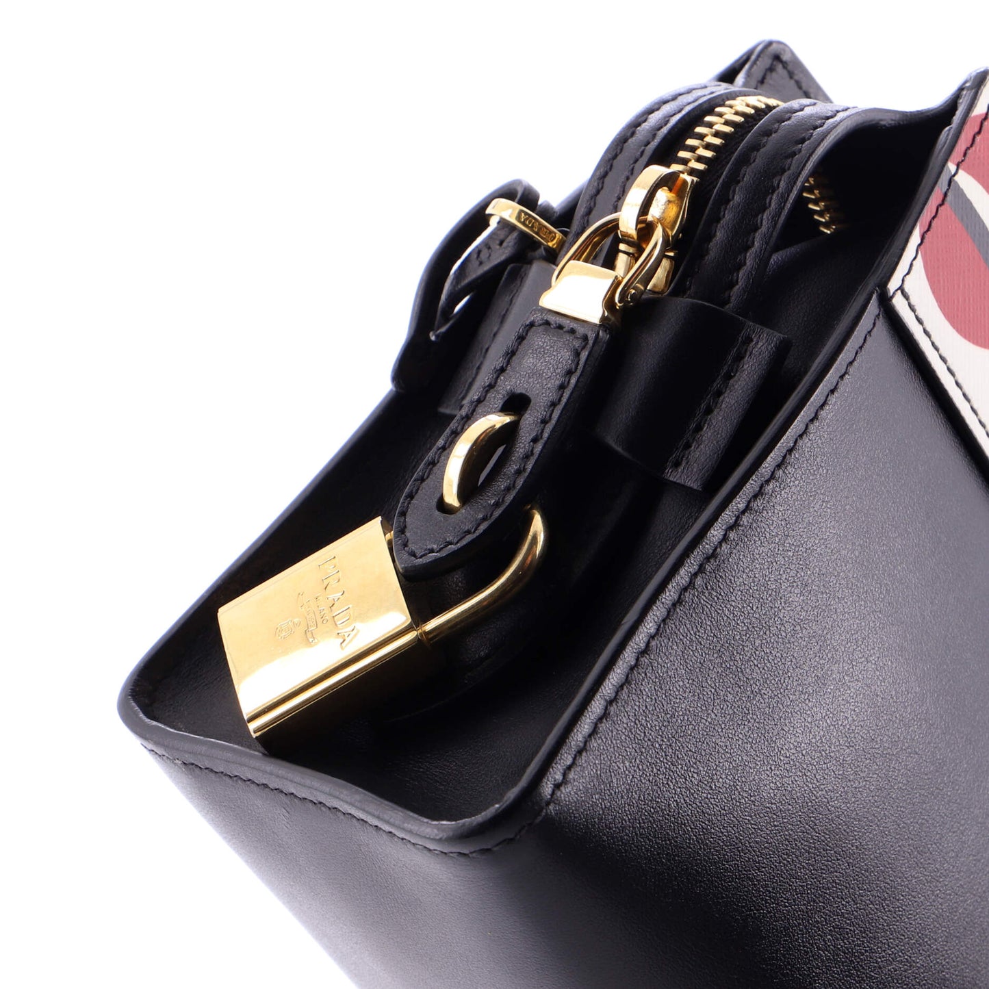 Esplanade Crossbody Bag Printed Saffiano and City Calf Small