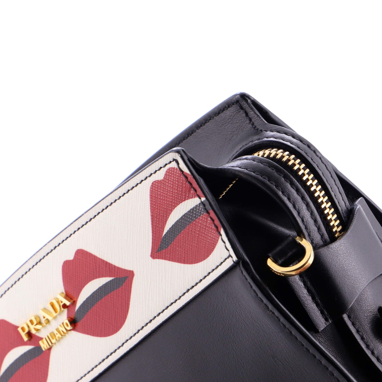 Esplanade Crossbody Bag Printed Saffiano and City Calf Small