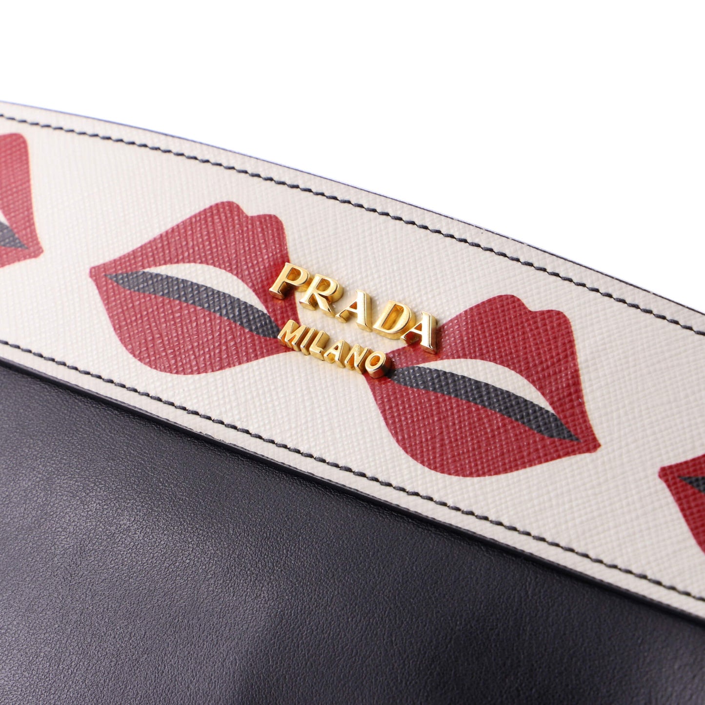 Esplanade Crossbody Bag Printed Saffiano and City Calf Small