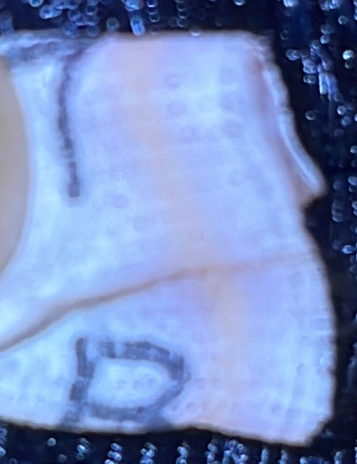 Bicolor Promenade Bag Saffiano Leather Medium