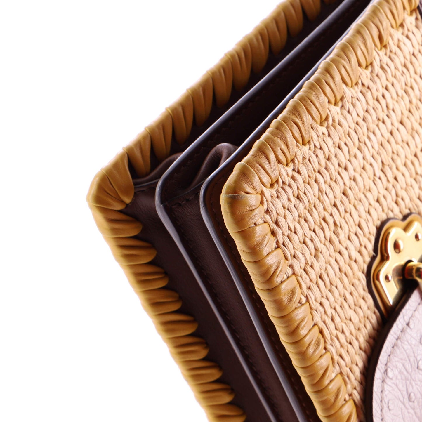 Cahier Crossbody Bag Straw and Leather with Ostrich Small